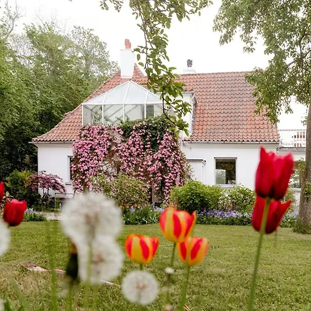 House From 1924 With Sea View In Front Yard Mommark