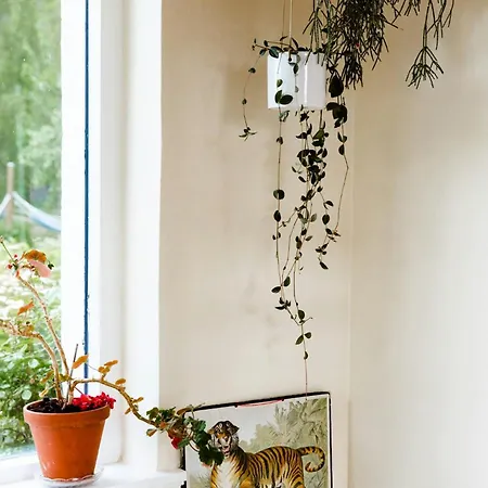 House From 1924 With Sea View In Front Yard 度假居 Mommark