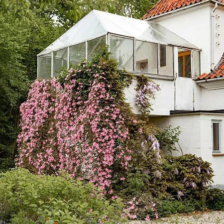 House From 1924 With Sea View In Front Yard 度假居